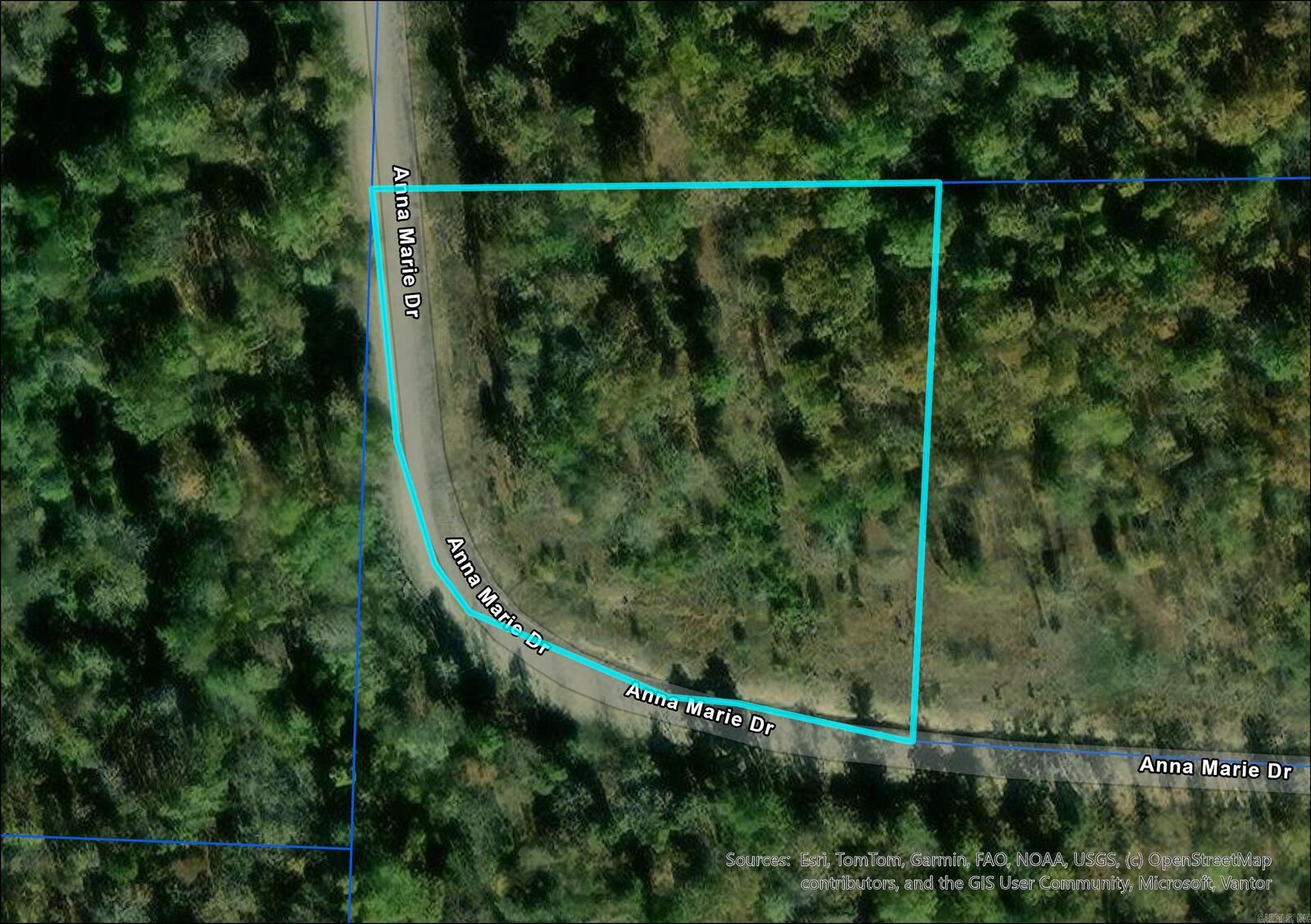 Property Photo:  Lot 14 Anna Marie Drive  AR 72157 