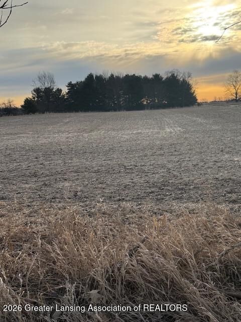 Property Photo:  0 S Watson Road  MI 48879 