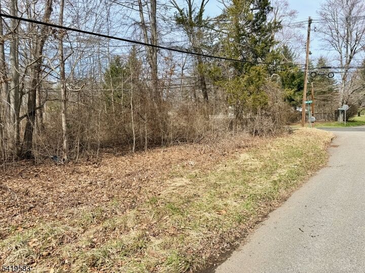 Property Photo: 10 Loantaka Ln NJ 07960