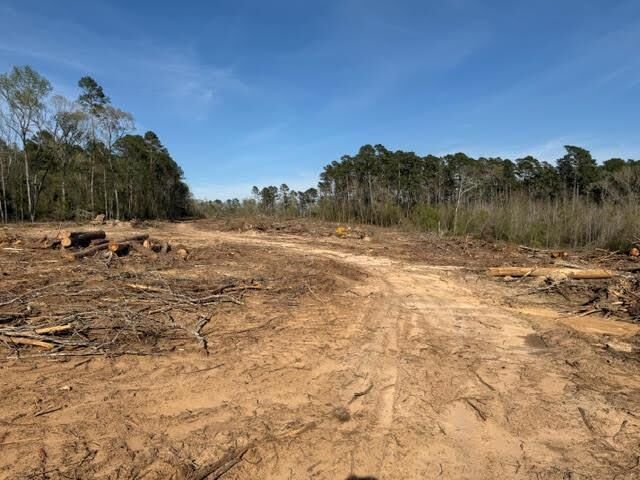 Property Photo:  1955 County Road 201  TX 75935 