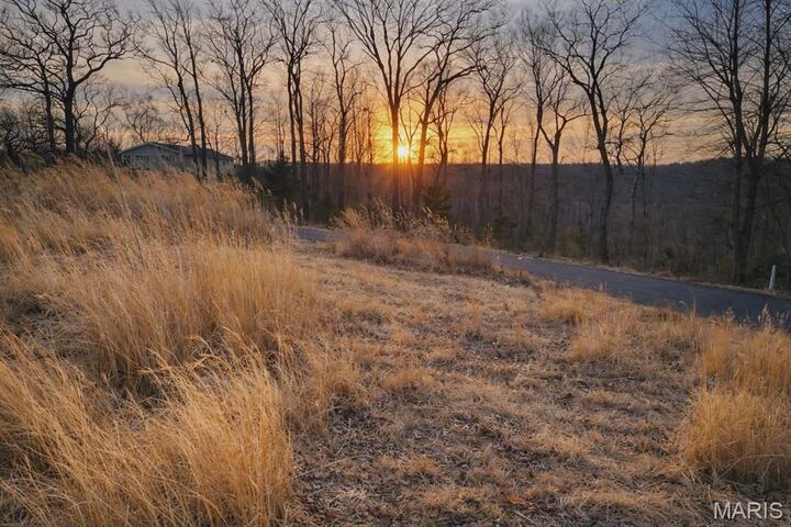 Property Photo:  859 Village Green Court  MO 63357 