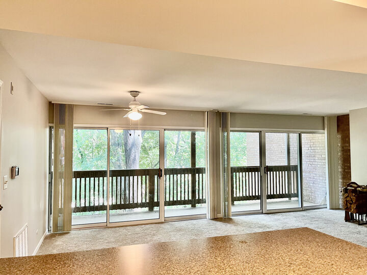 Property Photo: 5817 Oakwood Drive D IL 60532