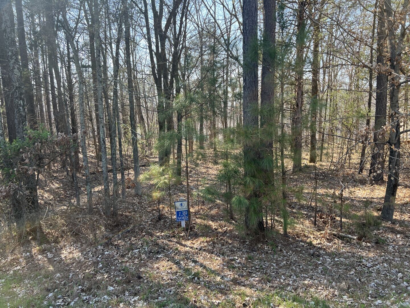 Property Photo:  Lot 139 Cherry Point  IL 62939 