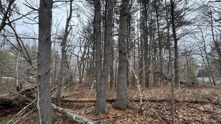 Property Photo: 74 Mountain Road ME 04579