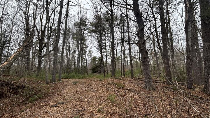 Property Photo:  74 Mountain Road  ME 04579 