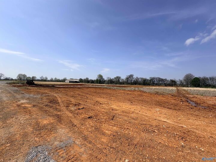 Property Photo:  23671 Old Homeplace Way  AL 35613 