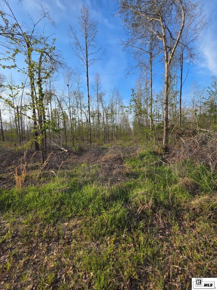Property Photo: 0 Carey Smith Road LA 71259