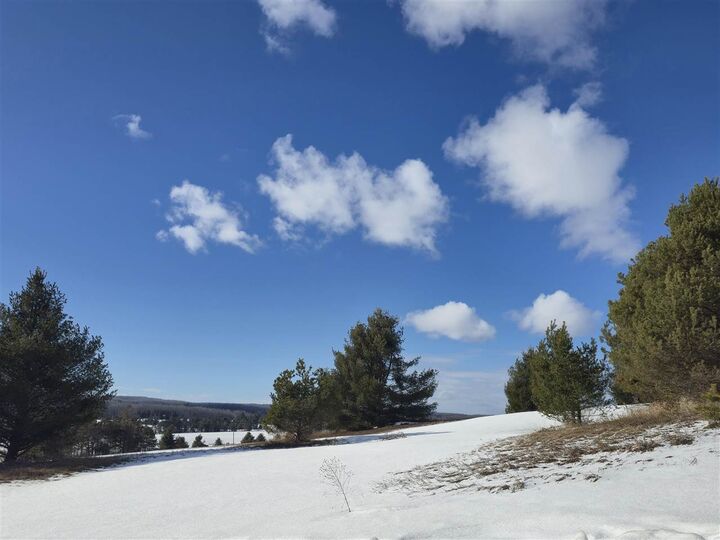 Property Photo:  5850 Deer Run  MI 49740 