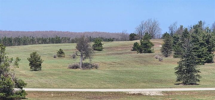Property Photo: 5850 Deer Run MI 49740