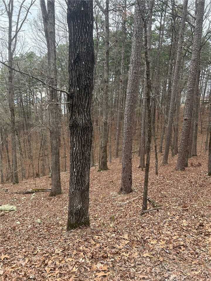 Property Photo: Lot 15 Marbella Way AR 71909