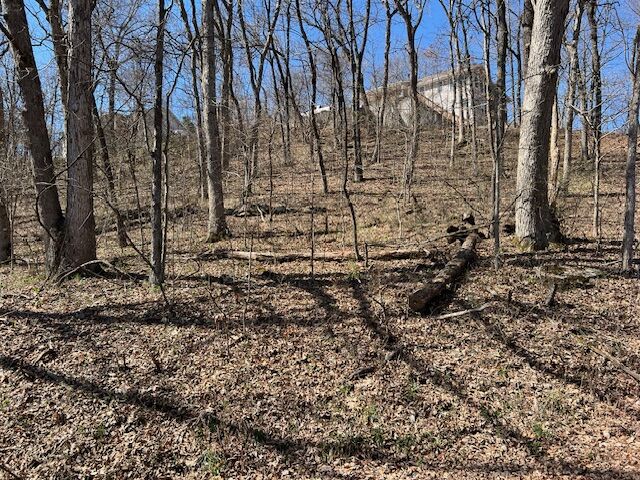 Property Photo: 64 Thunderbird Drive AR 72631