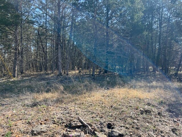 Property Photo:  96 Valley Drive  AR 72631 