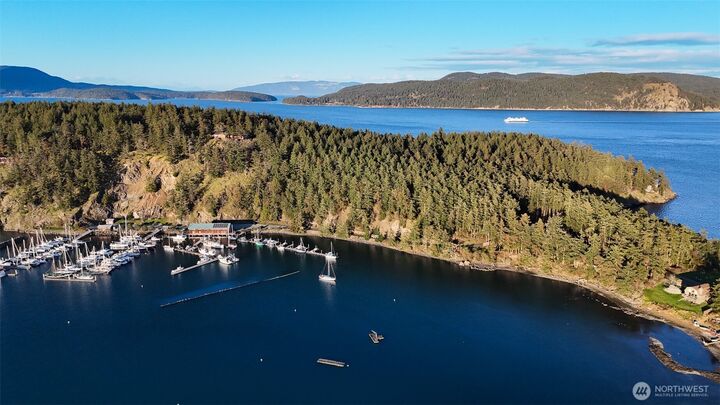 Property Photo:  239  Shoreland Drive  WA 98261 