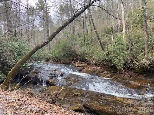 Property Photo:  395 W Chestnut Ridges Road 14  NC 28739 
