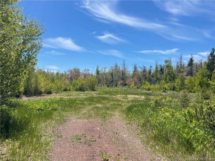 Property Photo:  Lot 95-5 P'Tit Barachois Road  NB E4P 7Y3 
