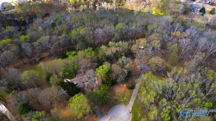 Property Photo:  5.59 Acres Finlen Road  AL 35811 