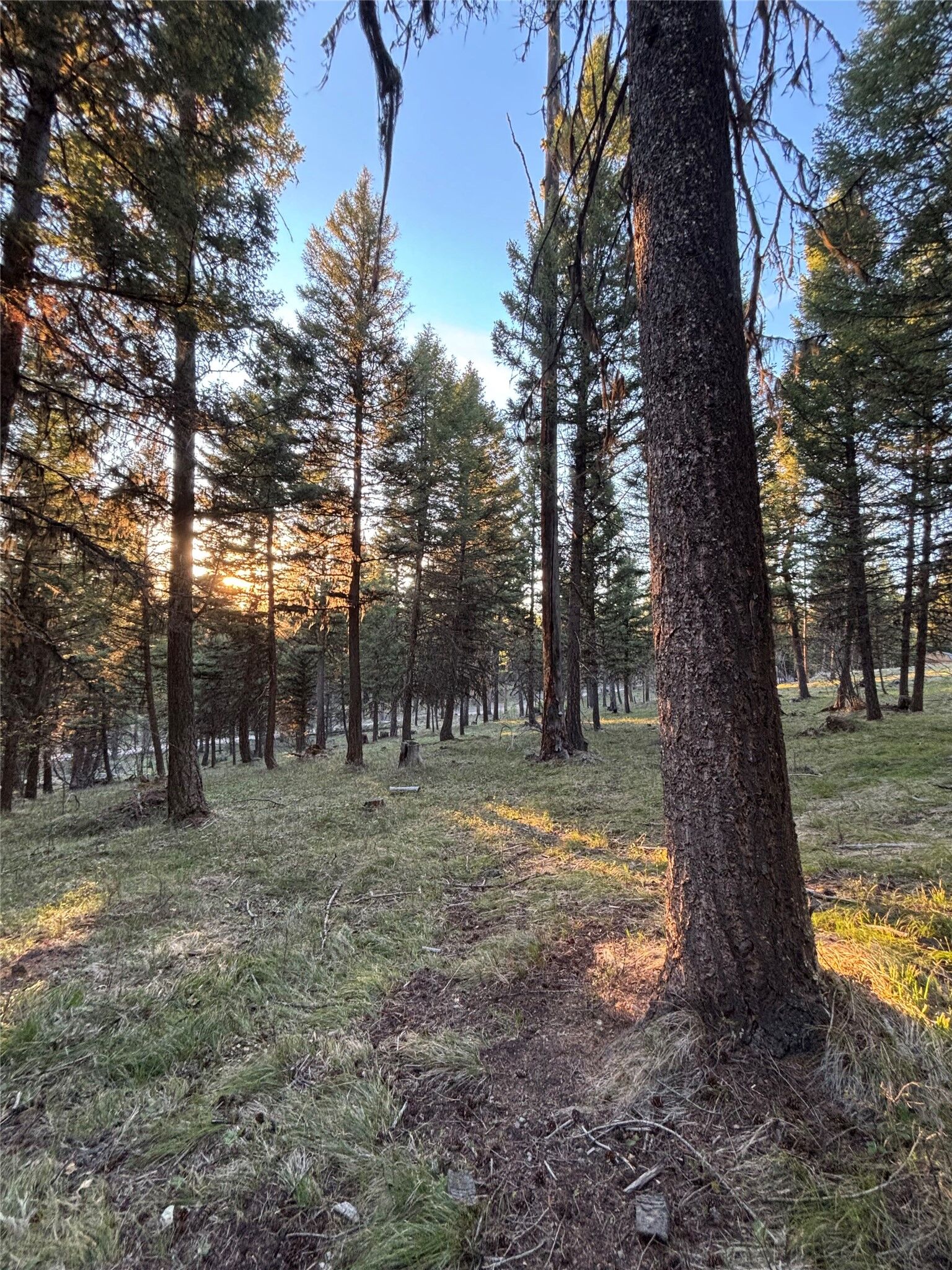 Property Photo: 139 Montana View Drive MT 59868