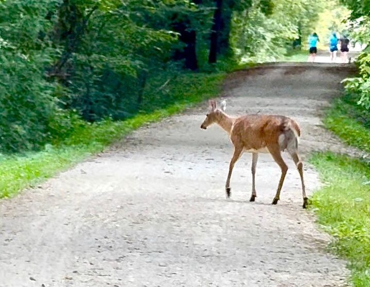 Property Photo:  19860 Cottagewood Road  MN 55331 