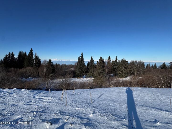 Property Photo:  L6 Mead Court  AK 99568 