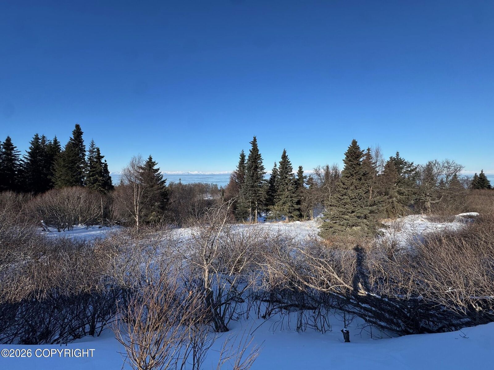 Property Photo:  L5 Mead Court  AK 99568 