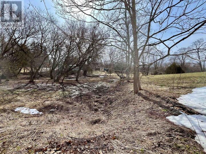 Property Photo:  Lt 214 215 North Albert Street  ON N0G 1X0 
