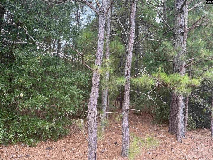 Property Photo:  Tbd Festival Trail  SC 29137 