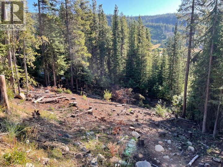 Lot 122 Wapiti Creek Road — photo 1