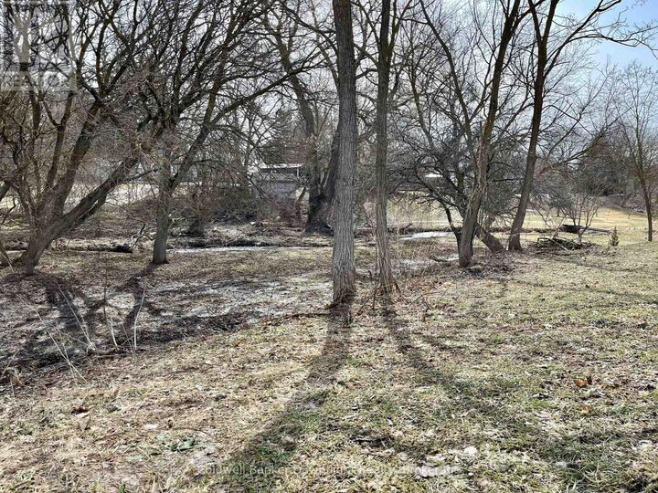 Property Photo: Lt 214 215 North Albert Street ON N0G 1X0