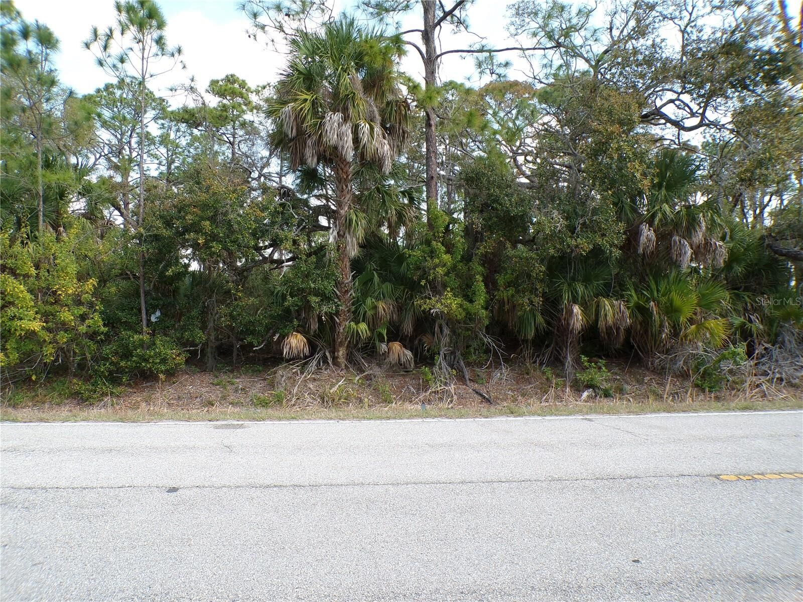 Property Photo:  1316 Biscayne Drive  FL 33953 