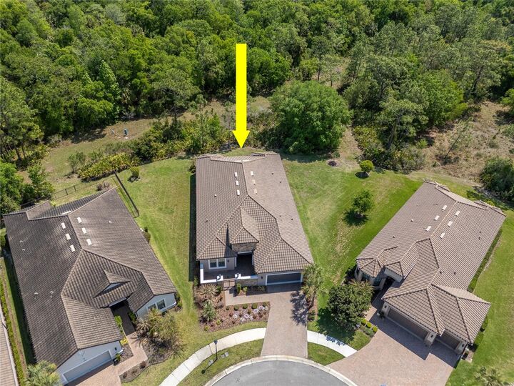 Property Photo: 20003 Umbria Hill Drive FL 33647