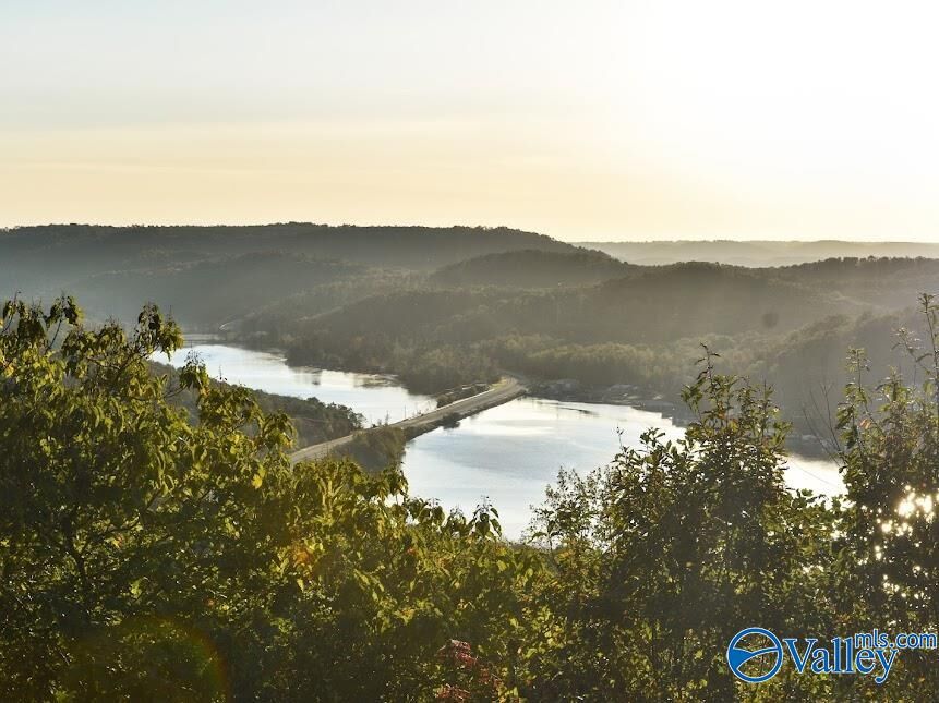 Property Photo:  157 Edmonds Drive N  AL 35747 