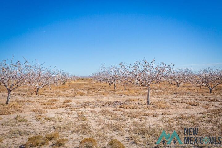 Property Photo: 353 N Red Bridge Road NM 88201