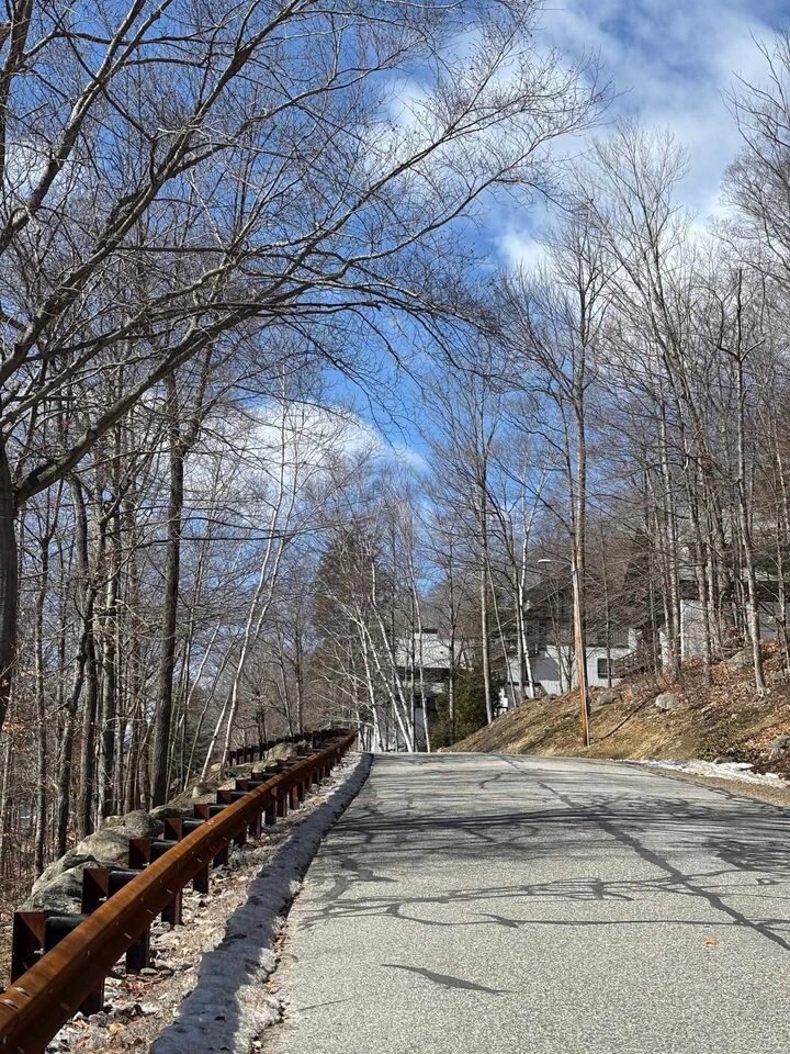 Property Photo:  3 Blueberry Road  NH 03251 