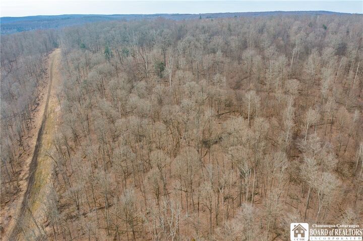 Property Photo:  0 Oak Hill Road  NY 14738 