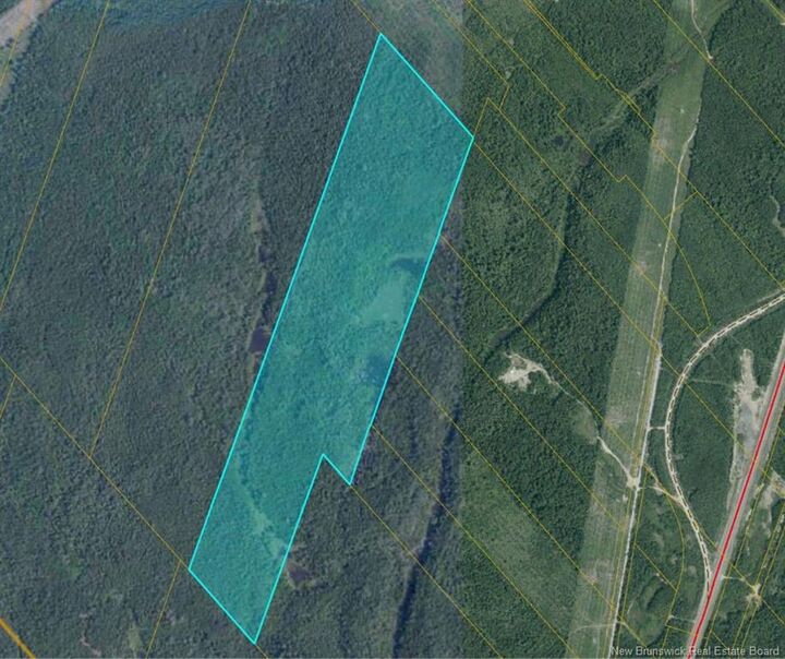 00 Timberland - Off King George Hwy - Miramichi — photo 1