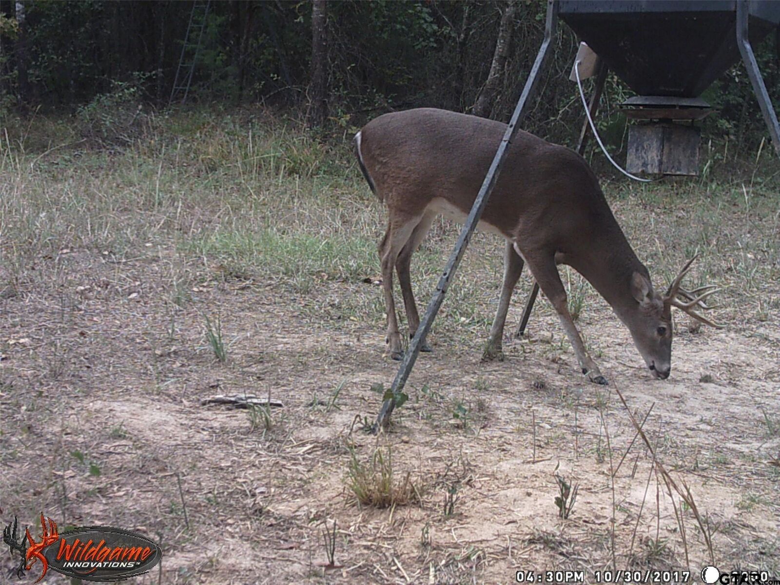 Property Photo:  139 Cr 1061  TX 75487 