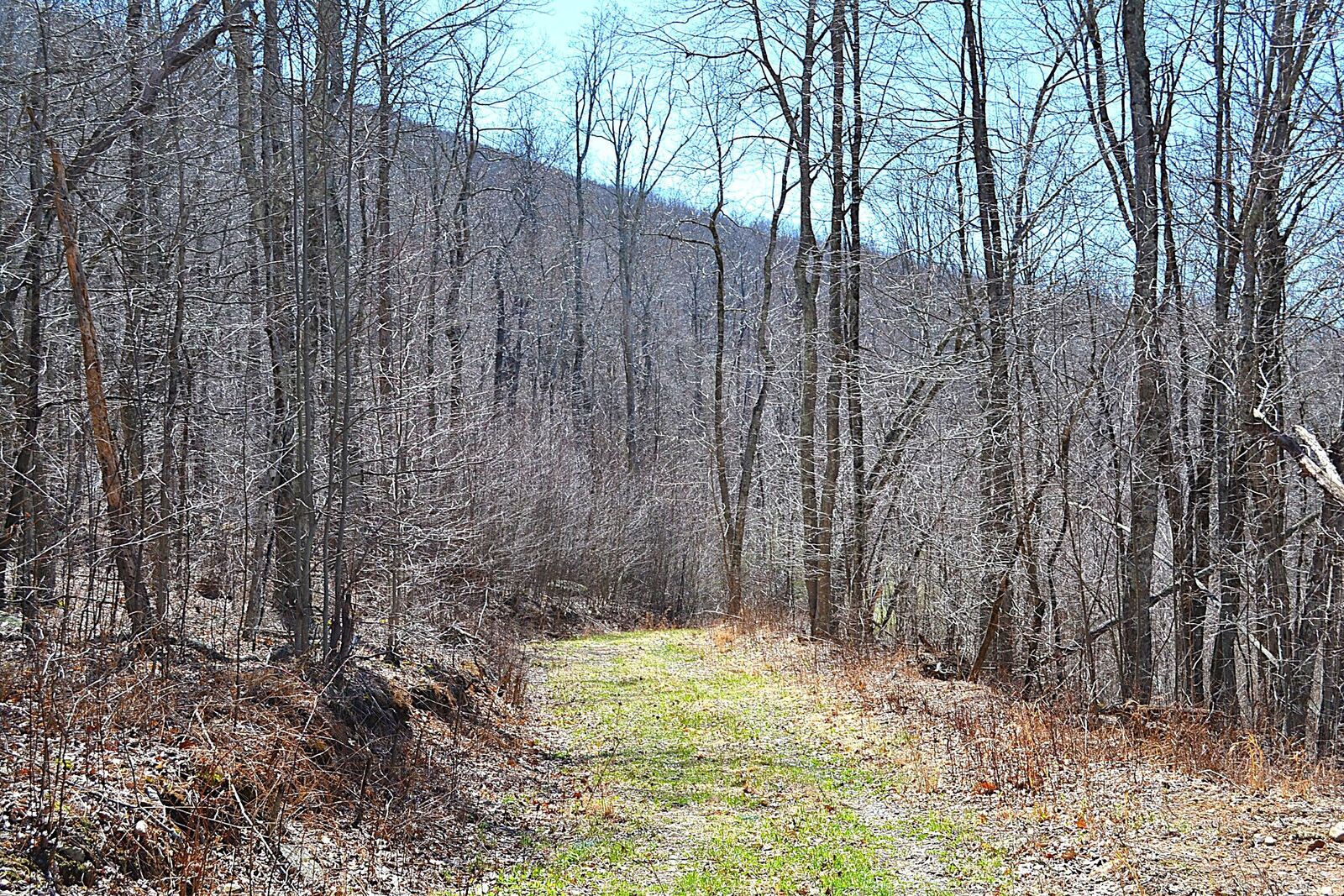 Property Photo:  2245 Crowder  WV 24941 