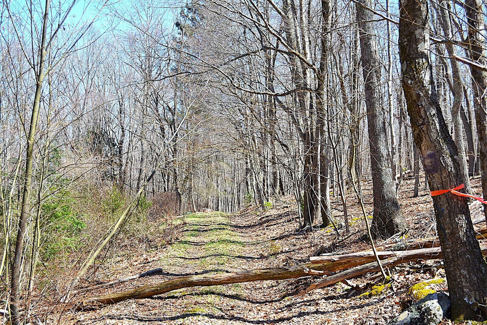 Property Photo:  2245 Crowder Rd  WV 24941 