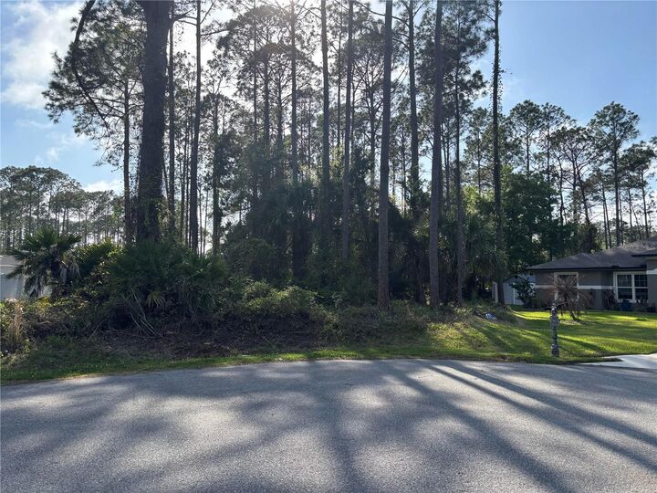 Property Photo:  21 Utopian Court  FL 32164 