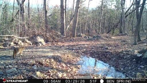 Property Photo:  0 Highway  O  MO 63645 