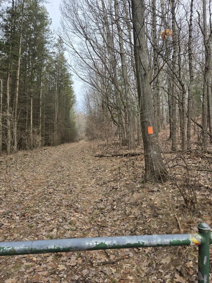 Property Photo: Vl W Deer Road MI 49436