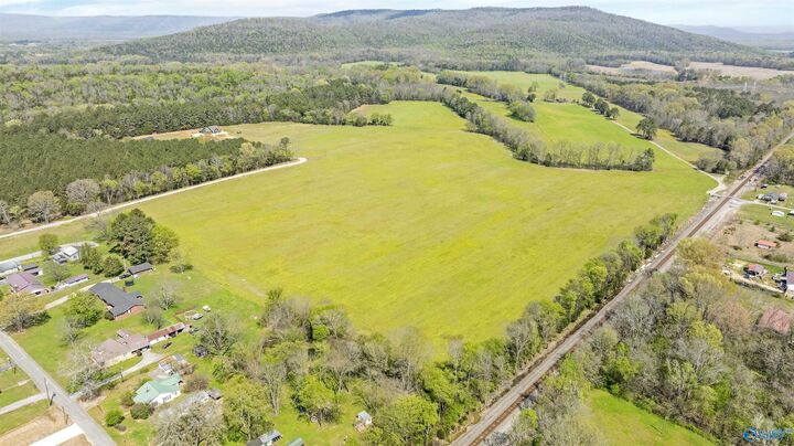 Property Photo: 50.56 Acres Main Street AL 35752