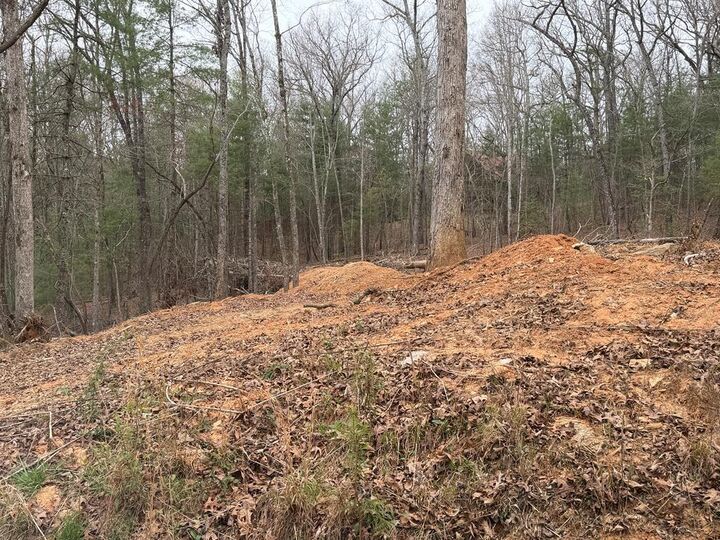 Property Photo:  Lot # 5 Oakwood Trail  GA 30559 