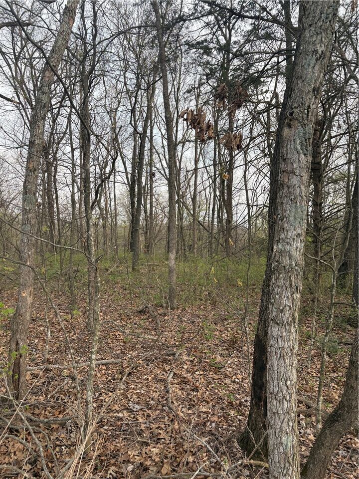 Property Photo: Lots 166 And 167 Huckleberry Circle 7-Rurban AR 72756
