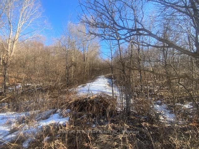 Property Photo:  00 Lot 1 County  Rd 10 Road  ON K0G 1X0 