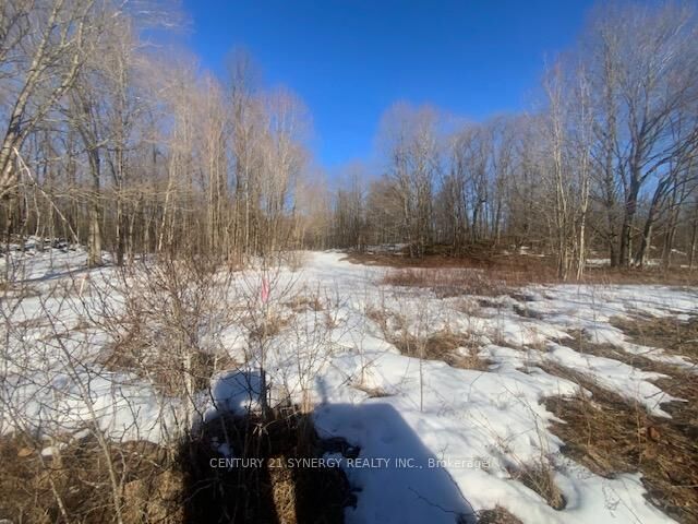 Property Photo:  00 Lot 1 County  Rd 10 Road  ON K0G 1X0 