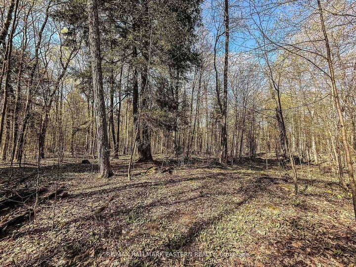 Property Photo:  2494 Hadlington Road  ON K0L 3K0 
