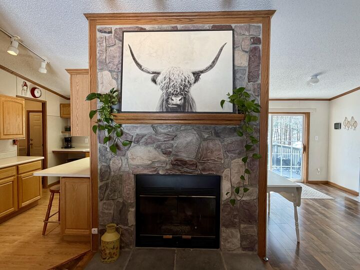 Property Photo:  14200 Scenic Court  MI 49721 