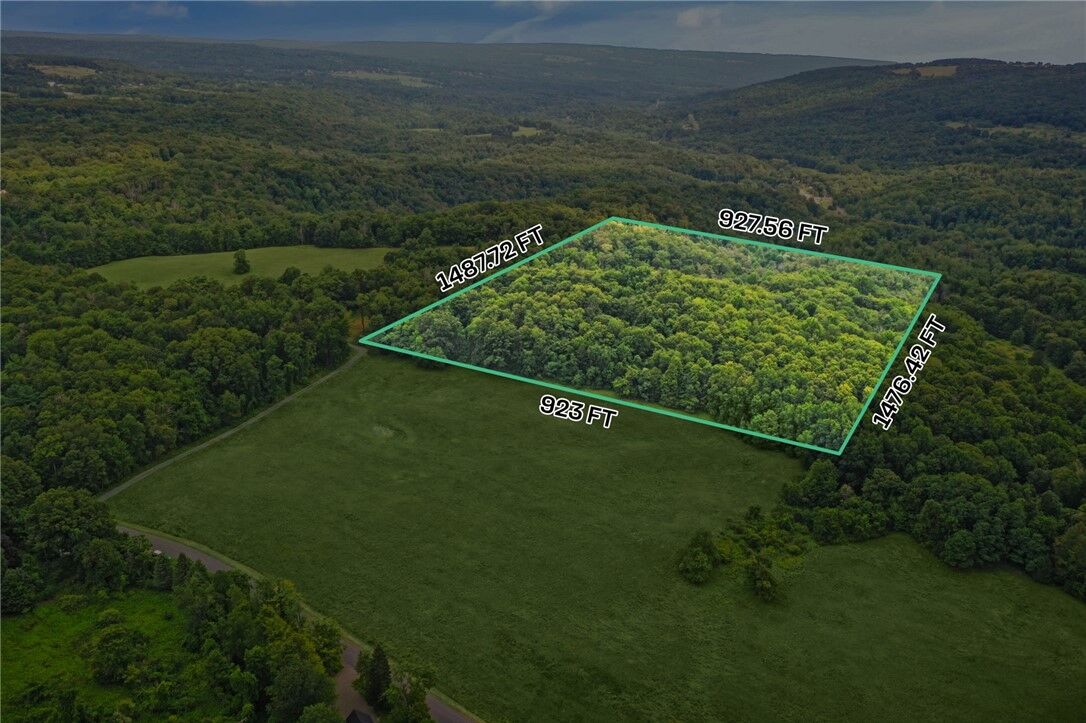 Property Photo:  0 Slators Lane  NY 14867 
