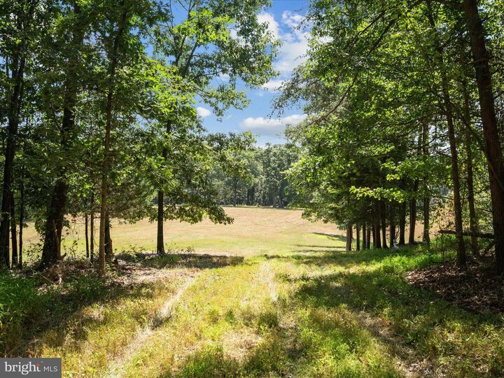 Property Photo: 000 Light Road VA 22603
